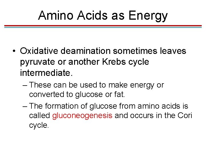 Amino Acids as Energy • Oxidative deamination sometimes leaves pyruvate or another Krebs cycle