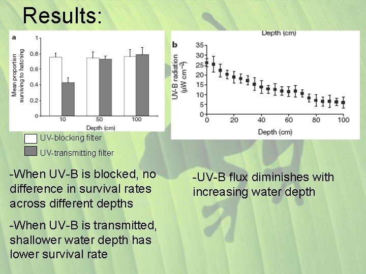 Results: UV-blocking filter UV-transmitting filter -When UV-B is blocked, no difference in survival rates