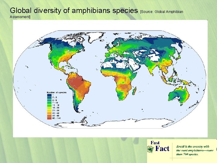 Global diversity of amphibians species [Source: Global Amphibian Assessment] 