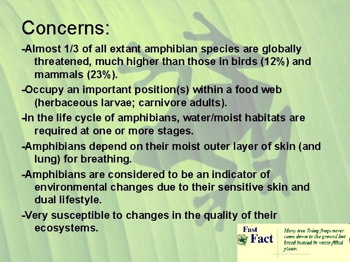 Concerns: -Almost 1/3 of all extant amphibian species are globally threatened, much higher than