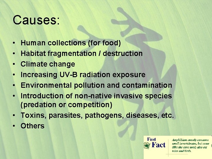 Causes: • • • Human collections (for food) Habitat fragmentation / destruction Climate change