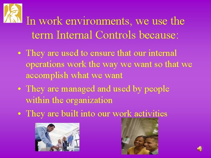 In work environments, we use the term Internal Controls because: • They are used
