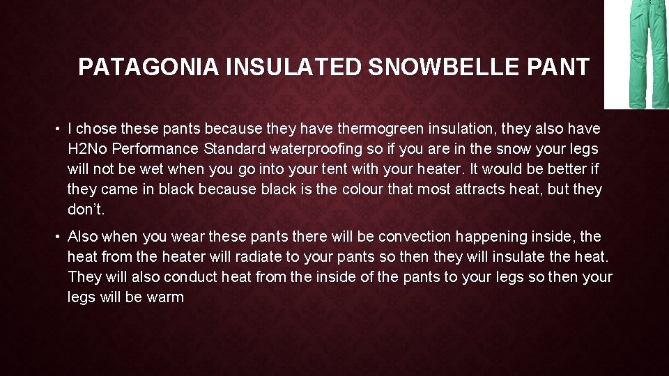 PATAGONIA INSULATED SNOWBELLE PANT • I chose these pants because they have thermogreen insulation,
