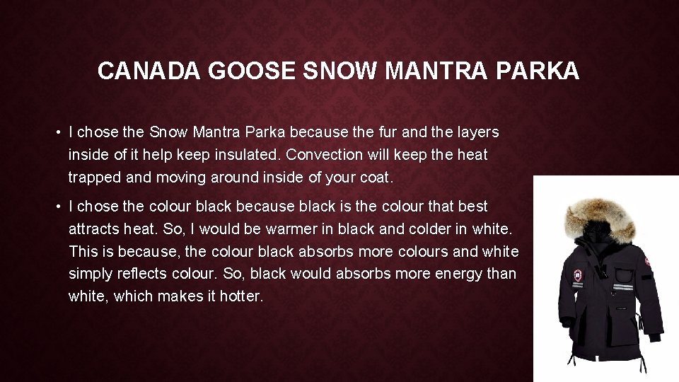 CANADA GOOSE SNOW MANTRA PARKA • I chose the Snow Mantra Parka because the
