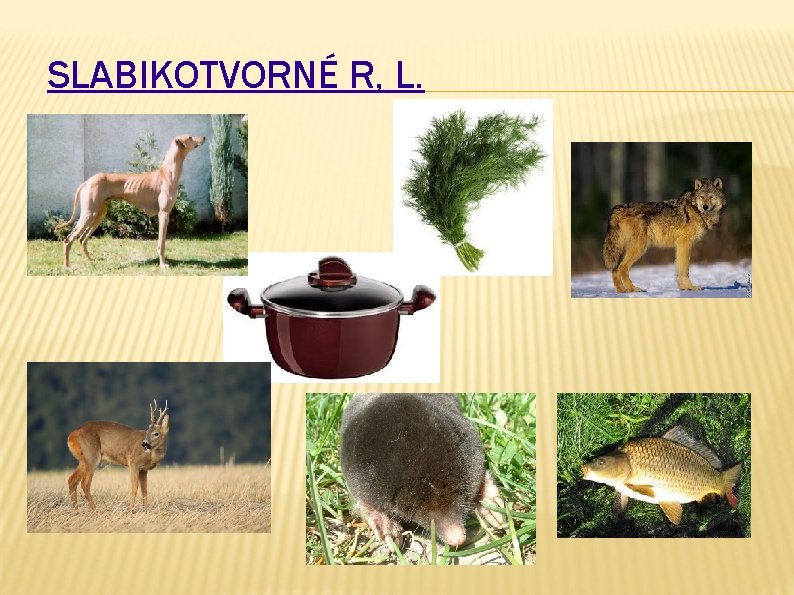 SLABIKOTVORNÉ R, L. 