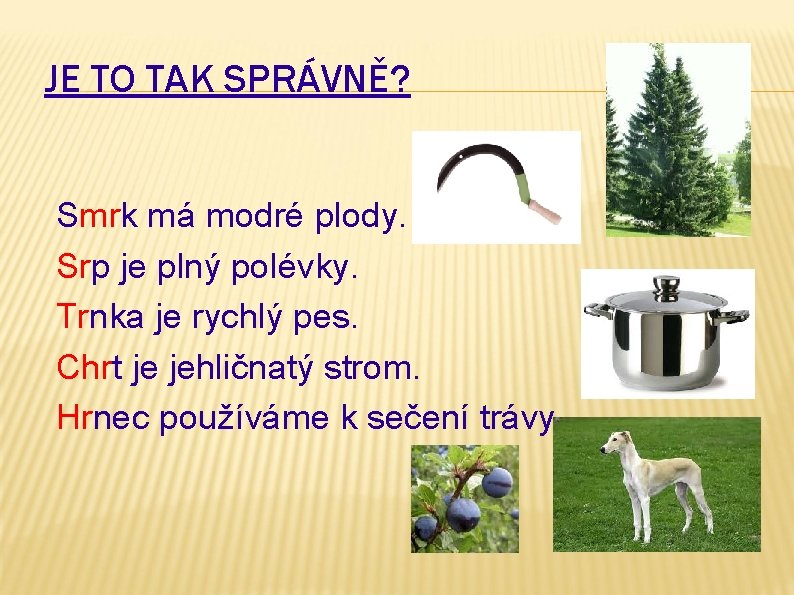 JE TO TAK SPRÁVNĚ? Smrk má modré plody. Srp je plný polévky. Trnka je