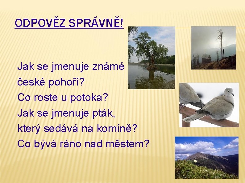 ODPOVĚZ SPRÁVNĚ! Jak se jmenuje známé české pohoří? Co roste u potoka? Jak se