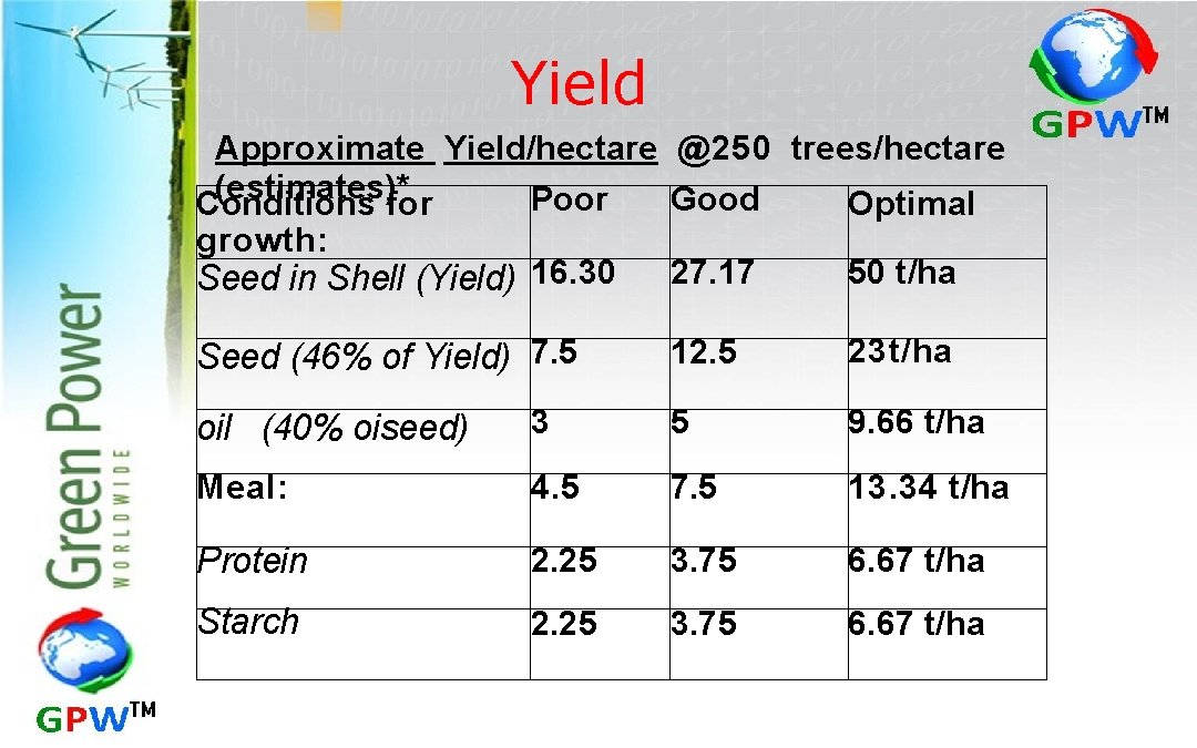 Yield Approximate Yield/hectare @250 trees/hectare (estimates)* Poor Good Conditions for Optimal growth: 50 t/ha