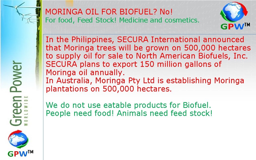 MORINGA OIL FOR BIOFUEL? No! For food, Feed Stock! Medicine and cosmetics. In the