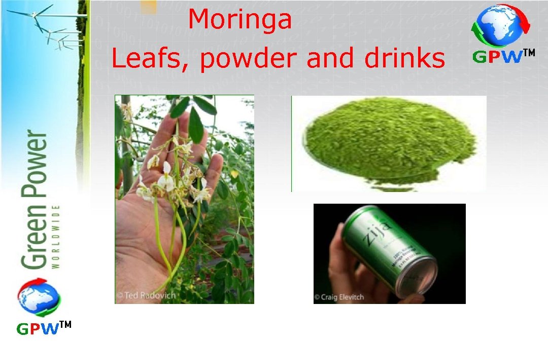 Moringa Leafs, powder and drinks 