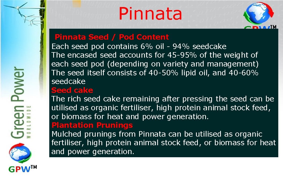 Pinnata Seed / Pod Content Each seed pod contains 6% oil - 94% seedcake