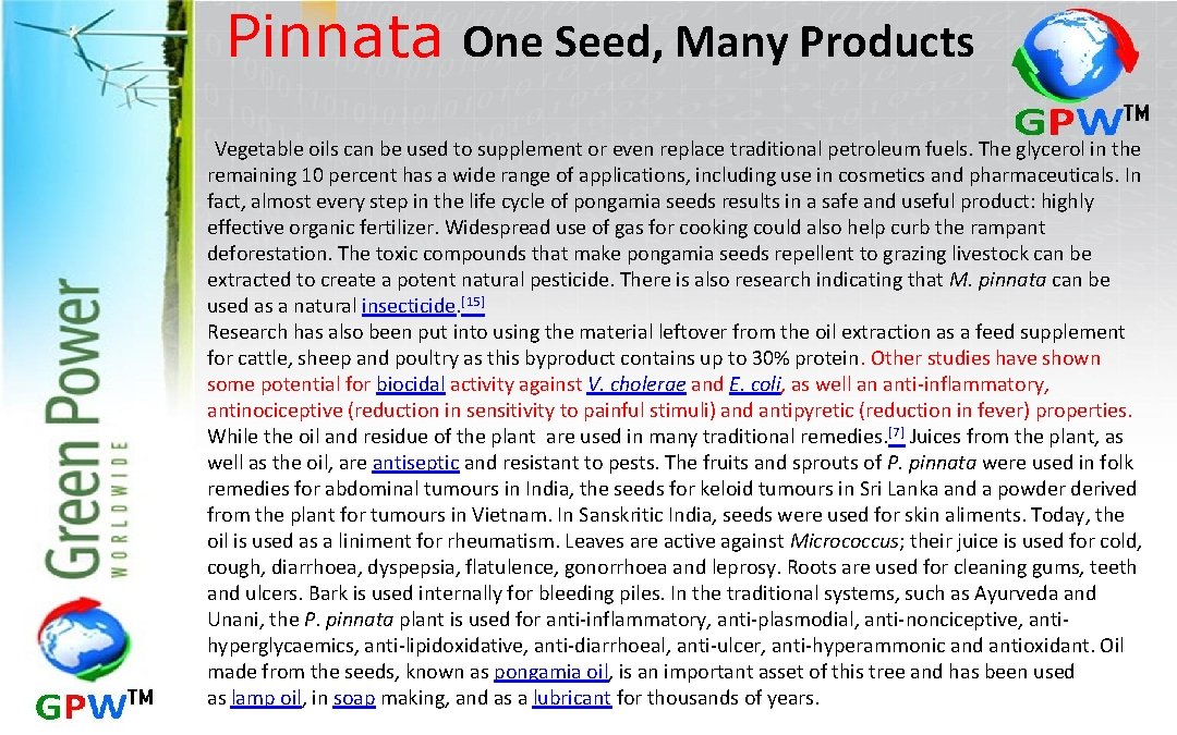 Pinnata One Seed, Many Products Vegetable oils can be used to supplement or even