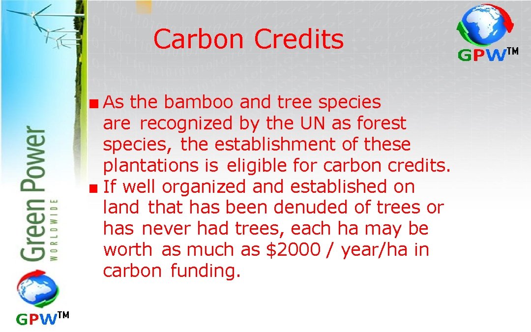 Carbon Credits ■ As the bamboo and tree species are recognized by the UN as