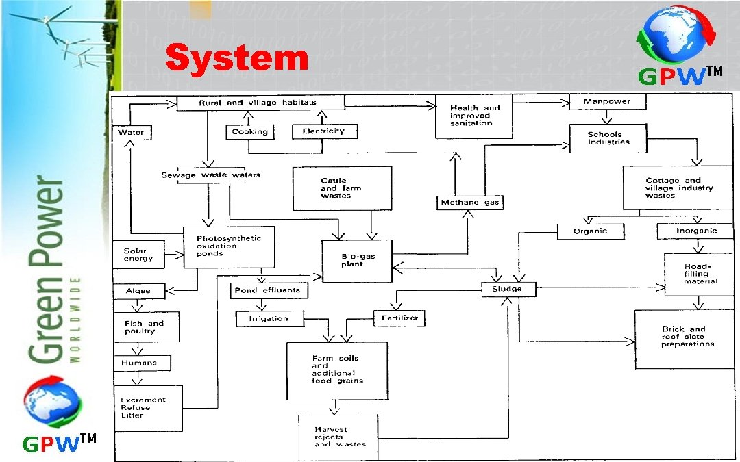 System 