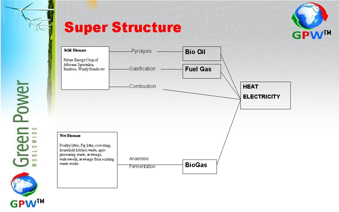 Super Structure Solid Biomass Future Energy Crop of Africana Spirotakia, Bamboo, Windy Bundu etc