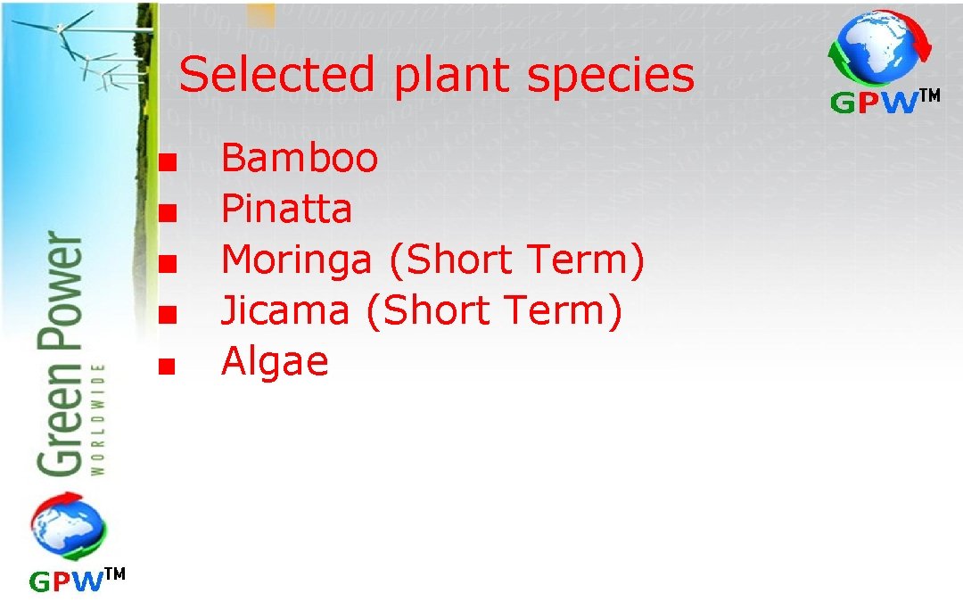 Selected plant species ■ ■ ■ Bamboo Pinatta Moringa (Short Term) Jicama (Short Term)