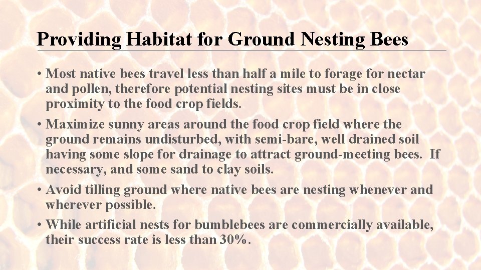 Providing Habitat for Ground Nesting Bees • Most native bees travel less than half