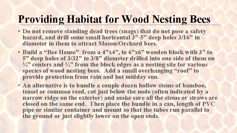 Providing Habitat for Wood Nesting Bees • Do not remove standing dead trees (snags)