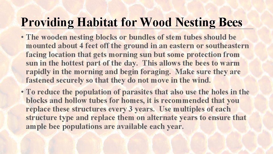 Providing Habitat for Wood Nesting Bees • The wooden nesting blocks or bundles of