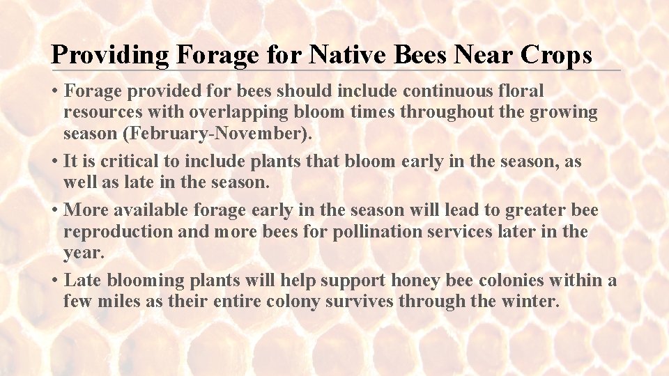 Providing Forage for Native Bees Near Crops • Forage provided for bees should include