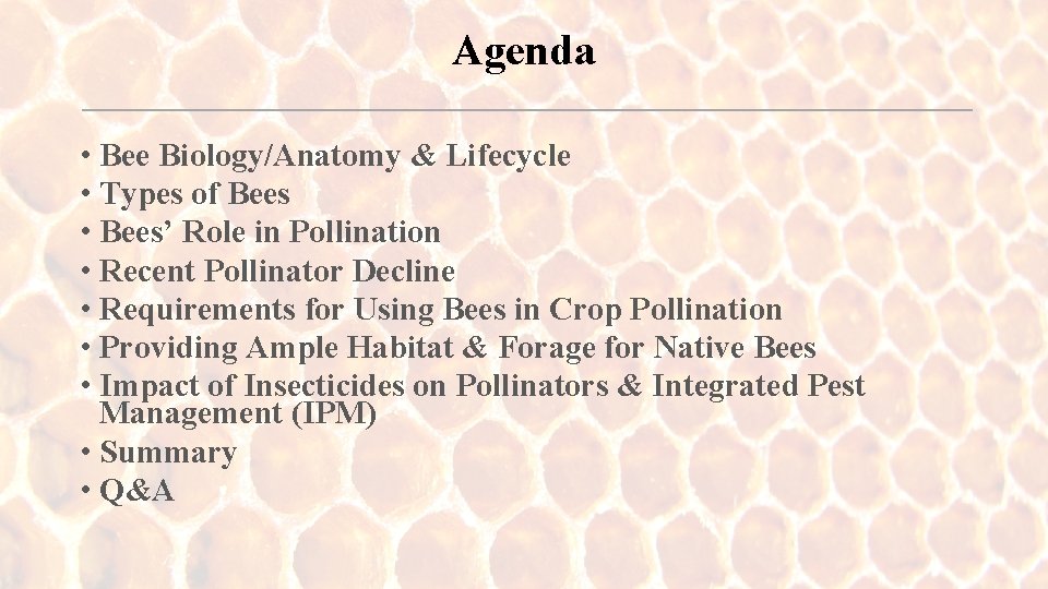 Agenda • Bee Biology/Anatomy & Lifecycle • Types of Bees • Bees’ Role in