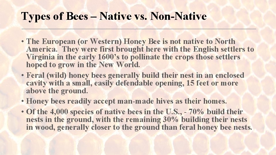 Types of Bees – Native vs. Non-Native • The European (or Western) Honey Bee