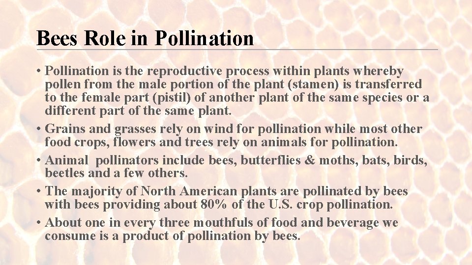 Bees Role in Pollination • Pollination is the reproductive process within plants whereby pollen