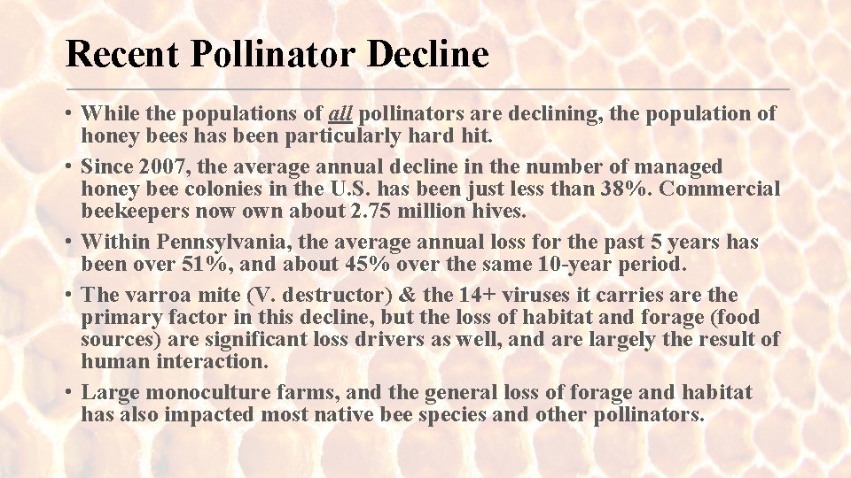 Recent Pollinator Decline • While the populations of all pollinators are declining, the population