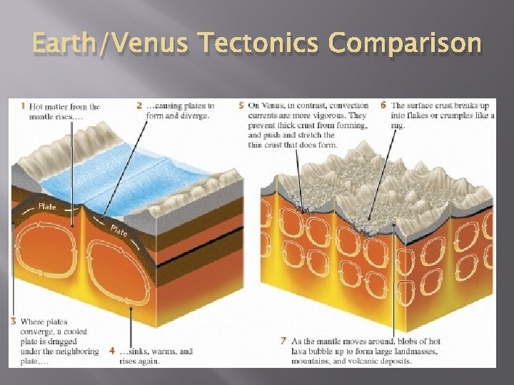 Earth/Venus Tectonics Comparison 