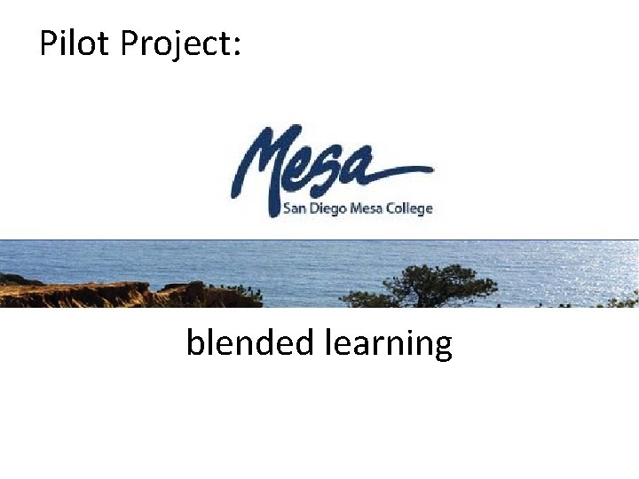 Pilot Project: blended learning 