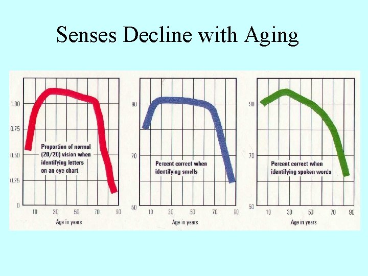 Senses Decline with Aging 