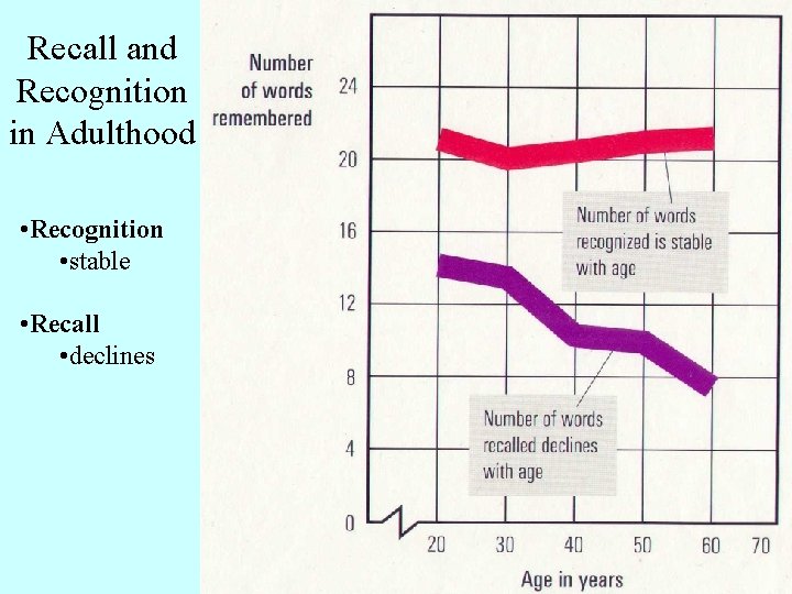 Recall and Recognition in Adulthood • Recognition • stable • Recall • declines 