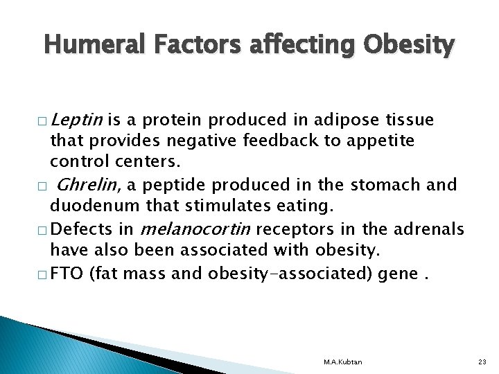 Humeral Factors affecting Obesity � Leptin is a protein produced in adipose tissue that