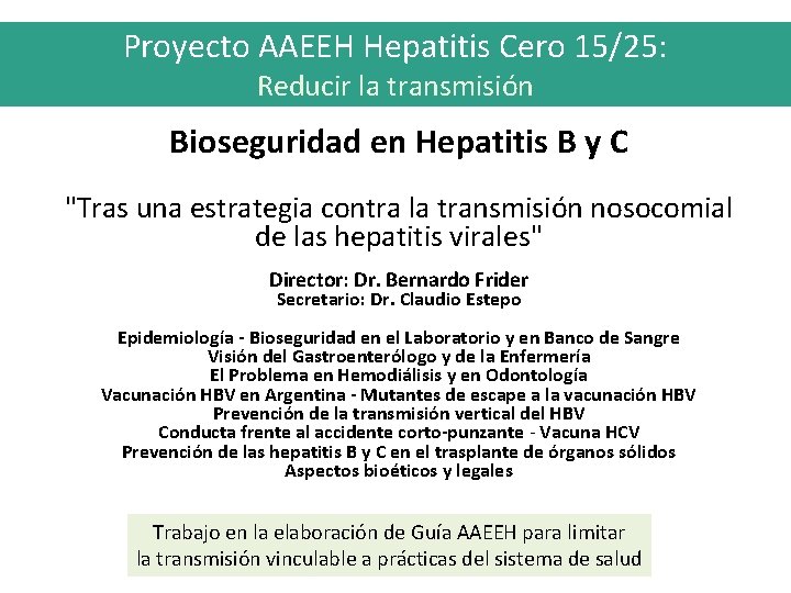 Proyecto AAEEH Hepatitis Cero 15/25: Reducir la transmisión Bioseguridad en Hepatitis B y C