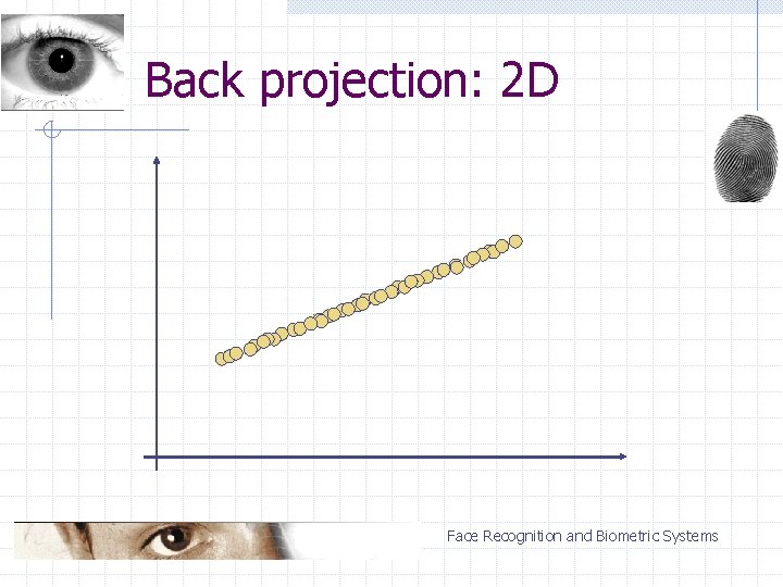 Back projection: 2 D Face Recognition and Biometric Systems 