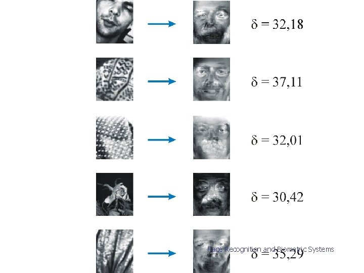 Face Recognition and Biometric Systems 