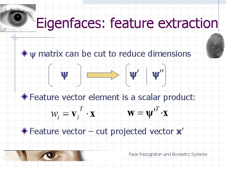 Eigenfaces: feature extraction matrix can be cut to reduce dimensions ’ ’’ Feature vector