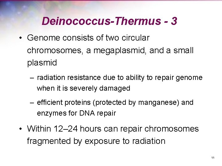 Deinococcus-Thermus - 3 • Genome consists of two circular chromosomes, a megaplasmid, and a