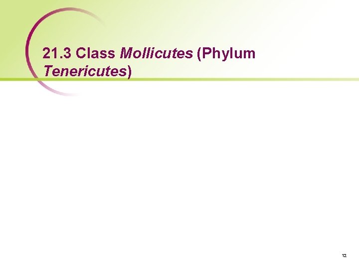 21. 3 Class Mollicutes (Phylum Tenericutes) 12 
