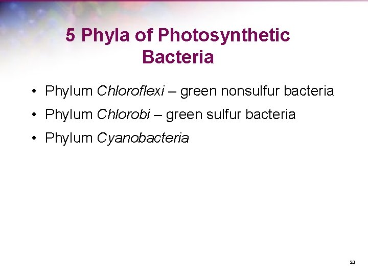 5 Phyla of Photosynthetic Bacteria • Phylum Chloroflexi – green nonsulfur bacteria • Phylum