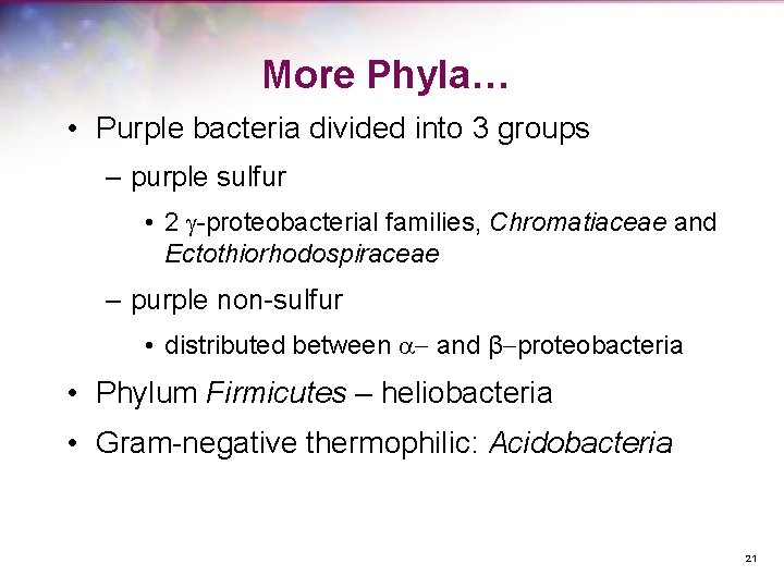 More Phyla… • Purple bacteria divided into 3 groups – purple sulfur • 2