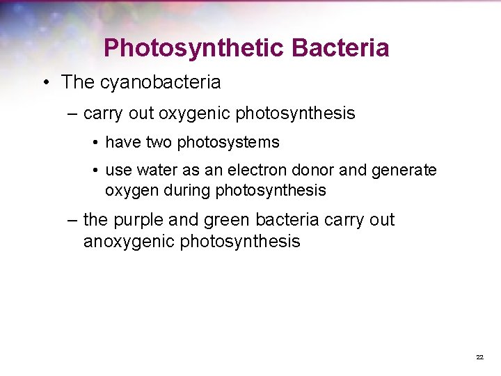 Photosynthetic Bacteria • The cyanobacteria – carry out oxygenic photosynthesis • have two photosystems