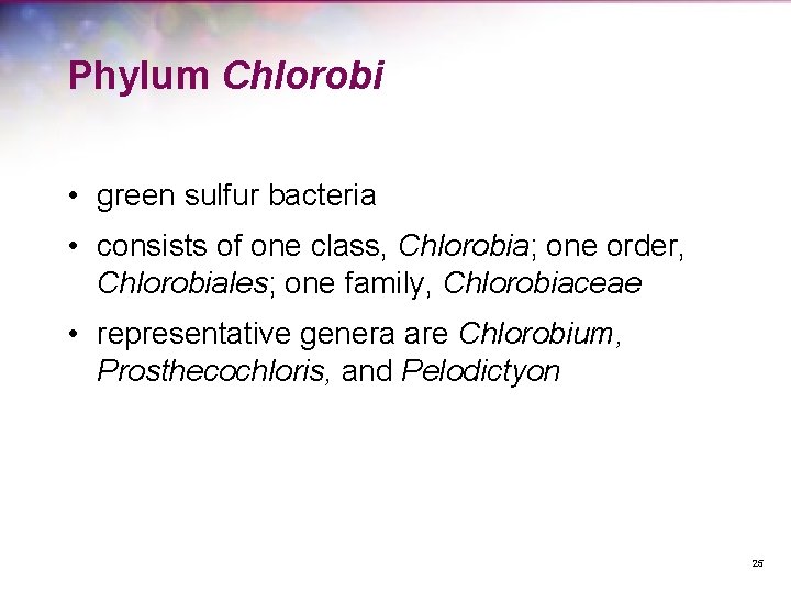 Phylum Chlorobi • green sulfur bacteria • consists of one class, Chlorobia; one order,