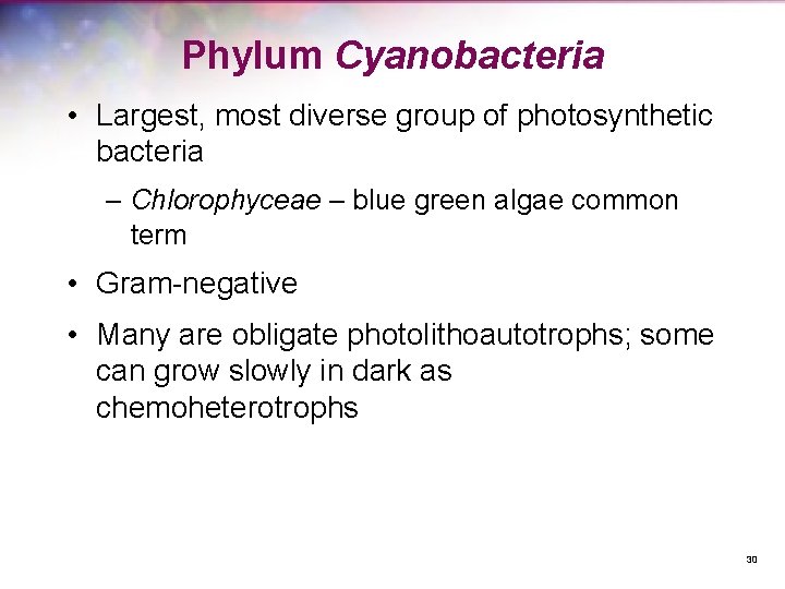 Phylum Cyanobacteria • Largest, most diverse group of photosynthetic bacteria – Chlorophyceae – blue