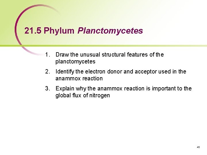 21. 5 Phylum Planctomycetes 1. Draw the unusual structural features of the planctomycetes 2.