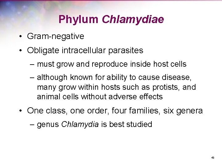 Phylum Chlamydiae • Gram-negative • Obligate intracellular parasites – must grow and reproduce inside