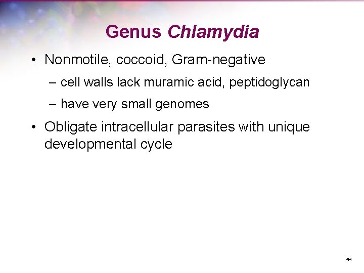 Genus Chlamydia • Nonmotile, coccoid, Gram-negative – cell walls lack muramic acid, peptidoglycan –