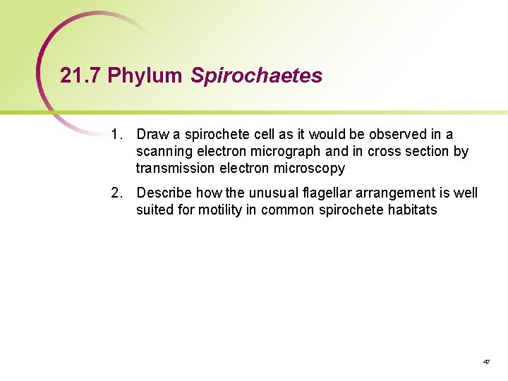 21. 7 Phylum Spirochaetes 1. Draw a spirochete cell as it would be observed