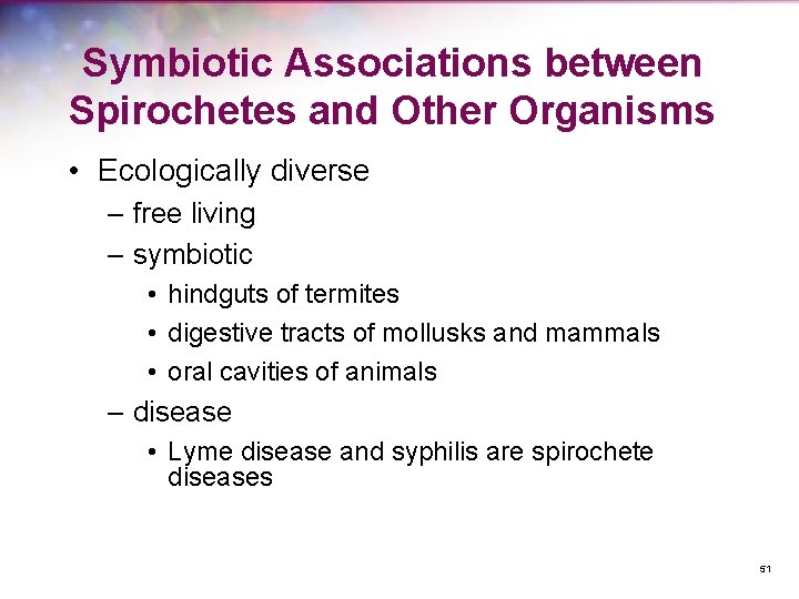 Symbiotic Associations between Spirochetes and Other Organisms • Ecologically diverse – free living –