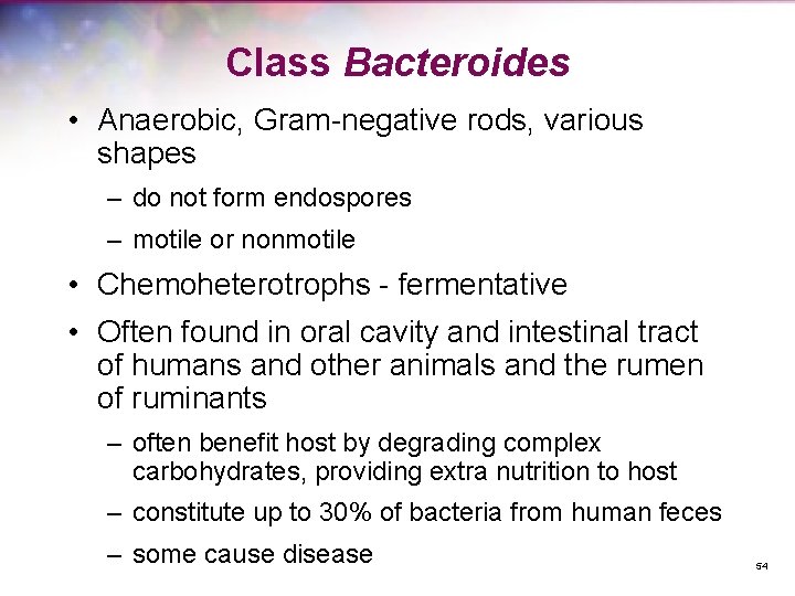 Class Bacteroides • Anaerobic, Gram-negative rods, various shapes – do not form endospores –